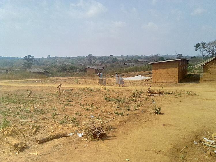 village, 2014